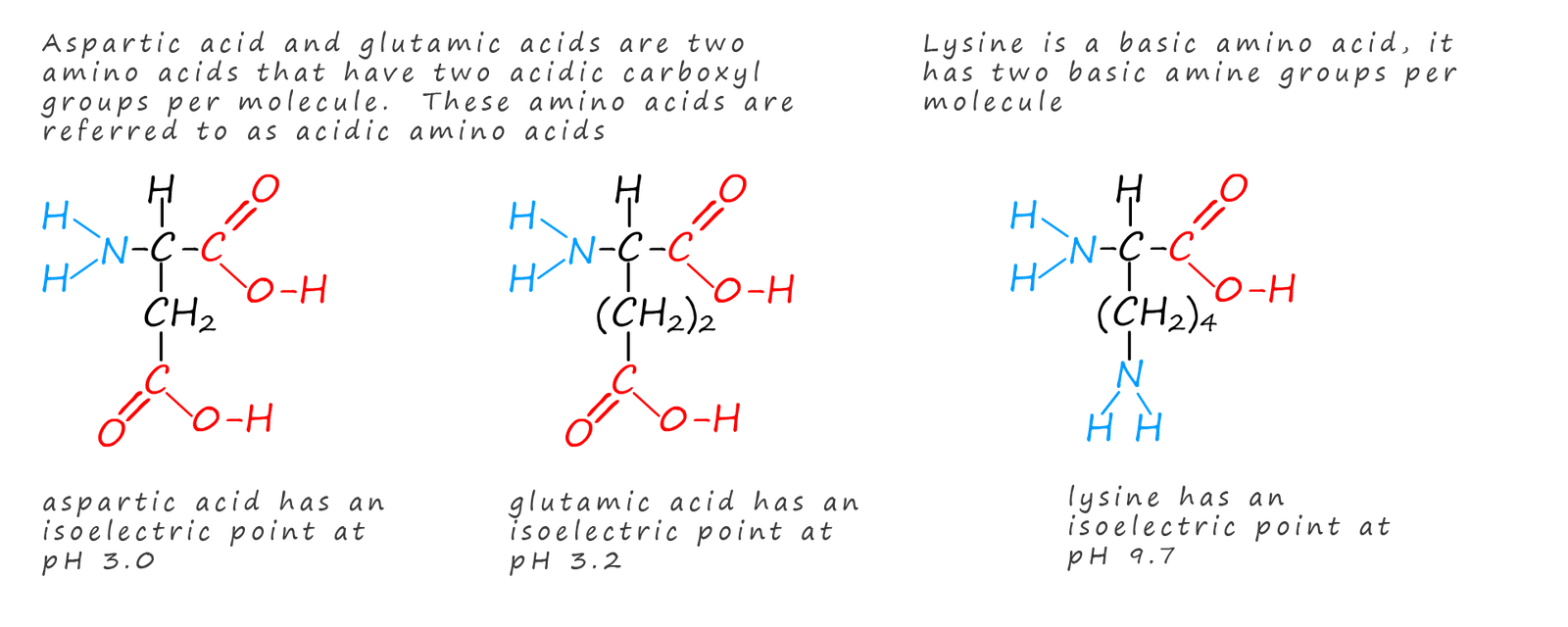 isoelectric points of acidic and basic amino acids